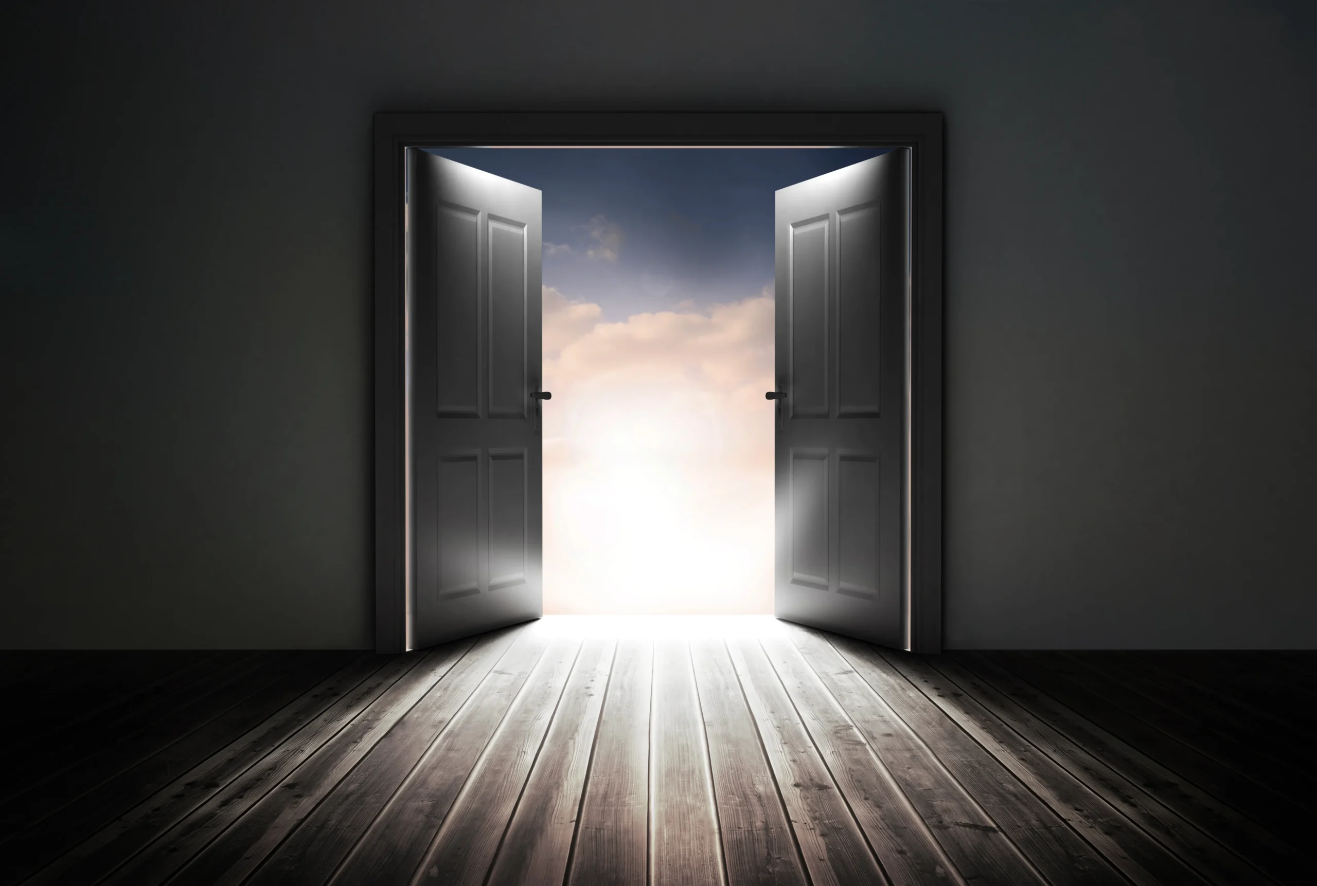 Door reveals the light scaled